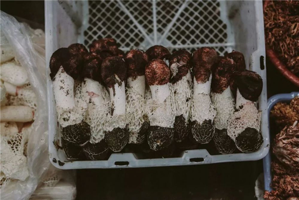 20250508299415.jpg 21.jpg