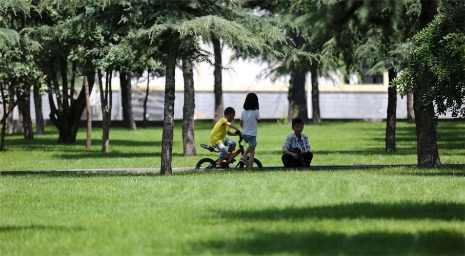 20250508332635.jpg 20250508332635.jpg