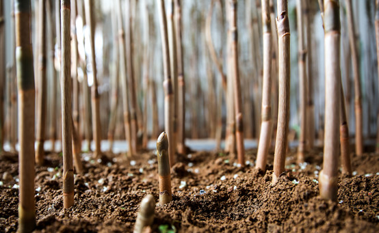 20250508377474.jpg 3.jpg