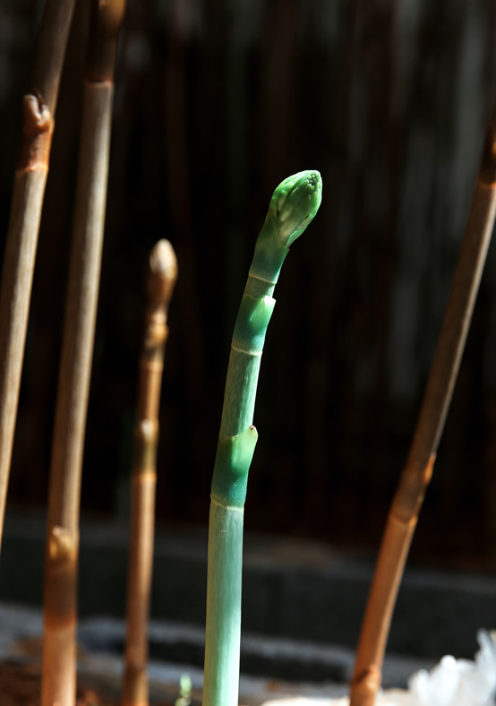 20250508486000.jpg 7.jpg