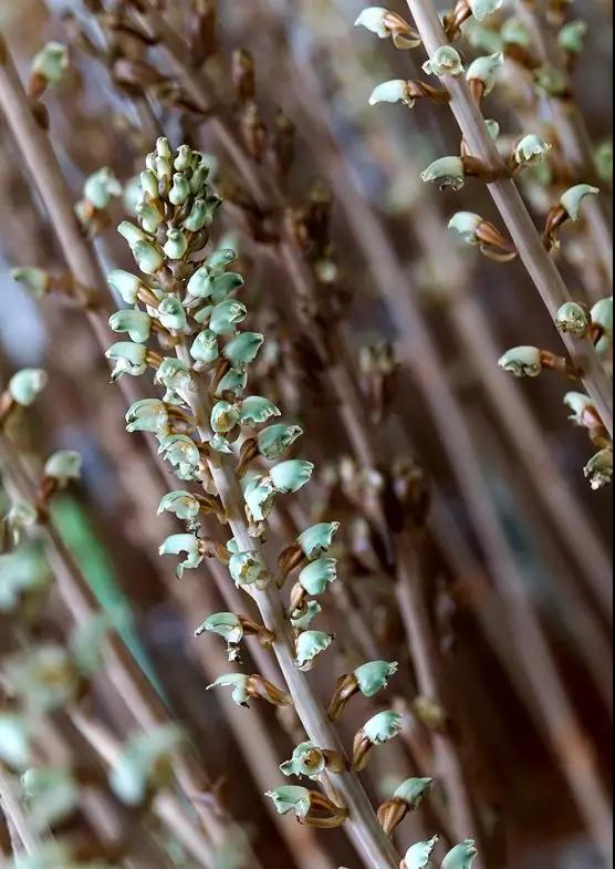 20250508522233.jpg 8.jpg