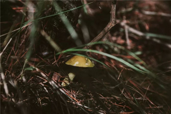 20250508547278.jpg 12.jpg