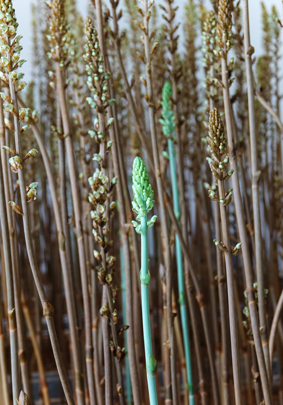 20250508576970.jpg 4.jpg