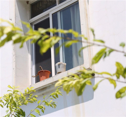 20250508582908.jpg 11.jpg