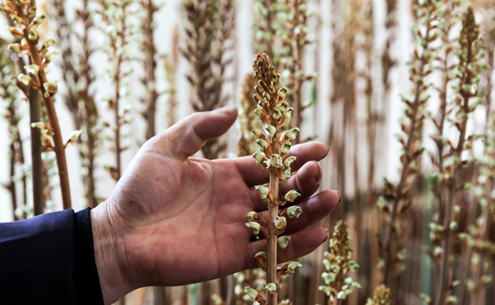 20250508669058.jpg 15.jpg