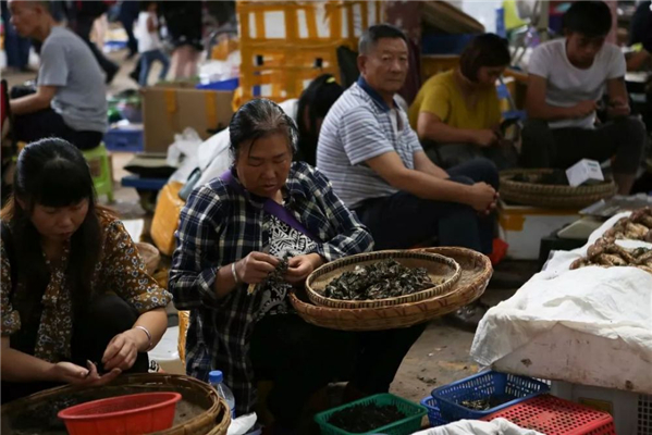 20250508769666.jpg 27.jpg