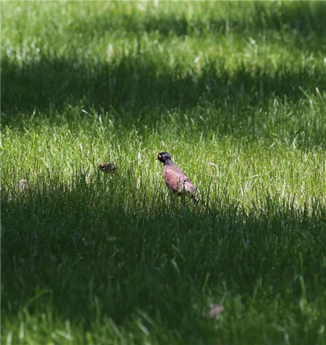 20250508771000.jpg 7.jpg