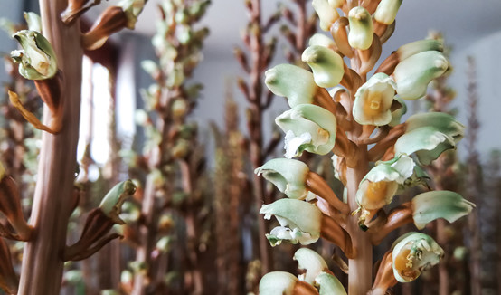 20250508781758.jpg 2.jpg