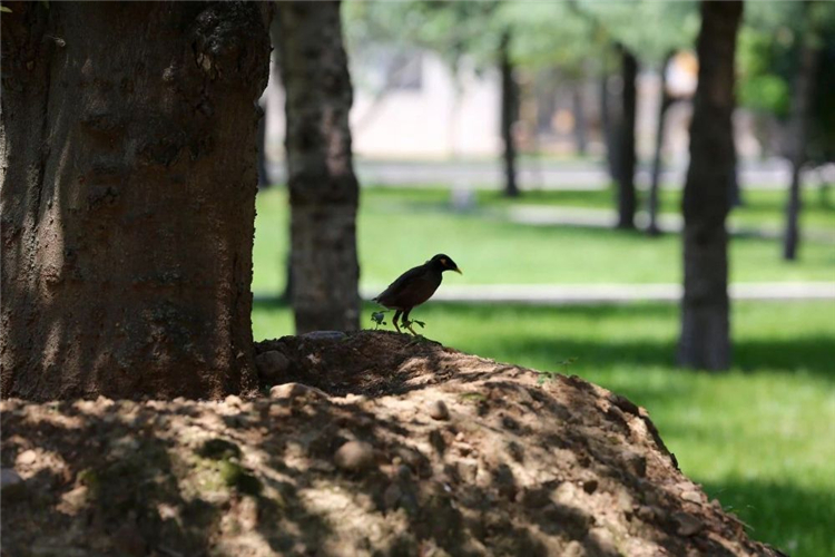 20250508832191.jpg 20250508832191.jpg