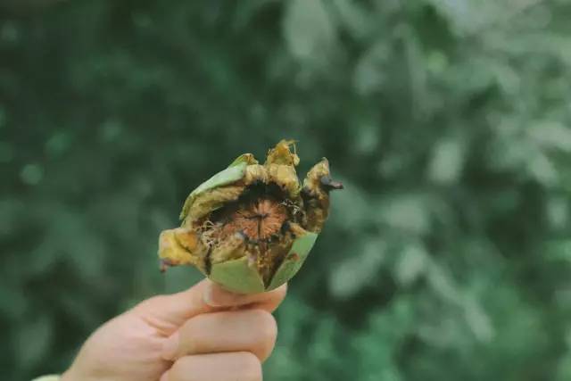 20250508889122.jpg 20250508889122.jpg