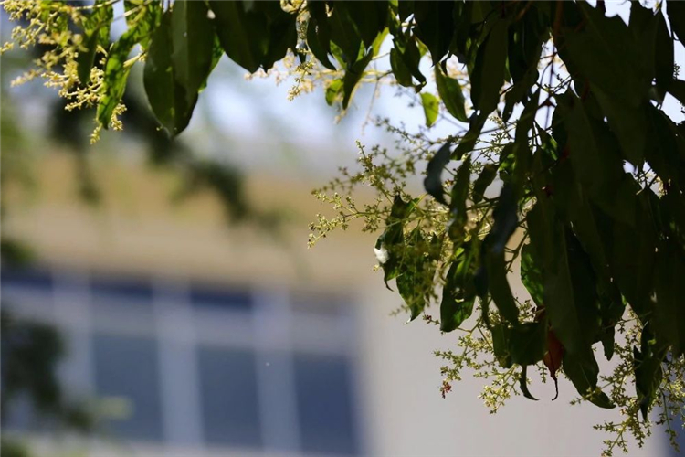 20250508901386.jpg 20250508901386.jpg