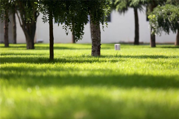 20250508951432.jpg 20250508951432.jpg