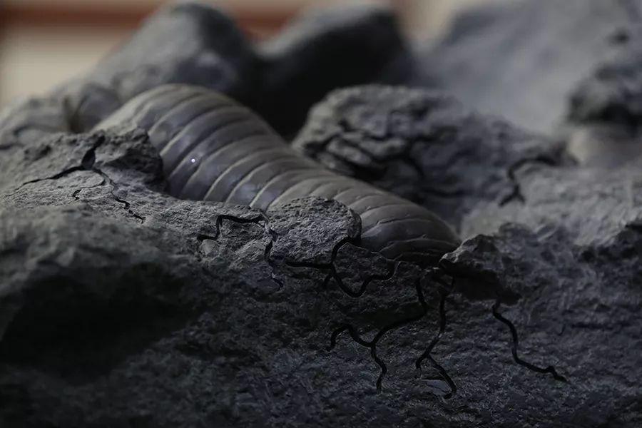 原生故事|满屋都是石头的气息︱《秘境宝物》制作记（二）