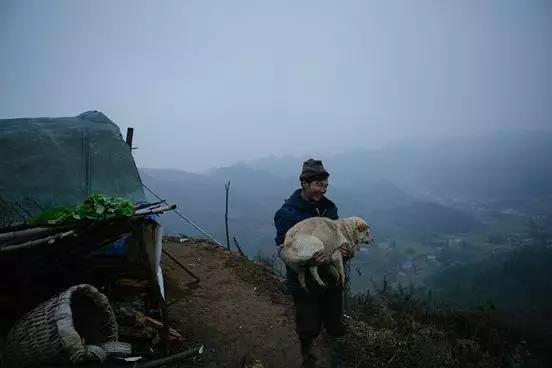 原生故事|守天麻的男人，一守也许到老，如一场修行